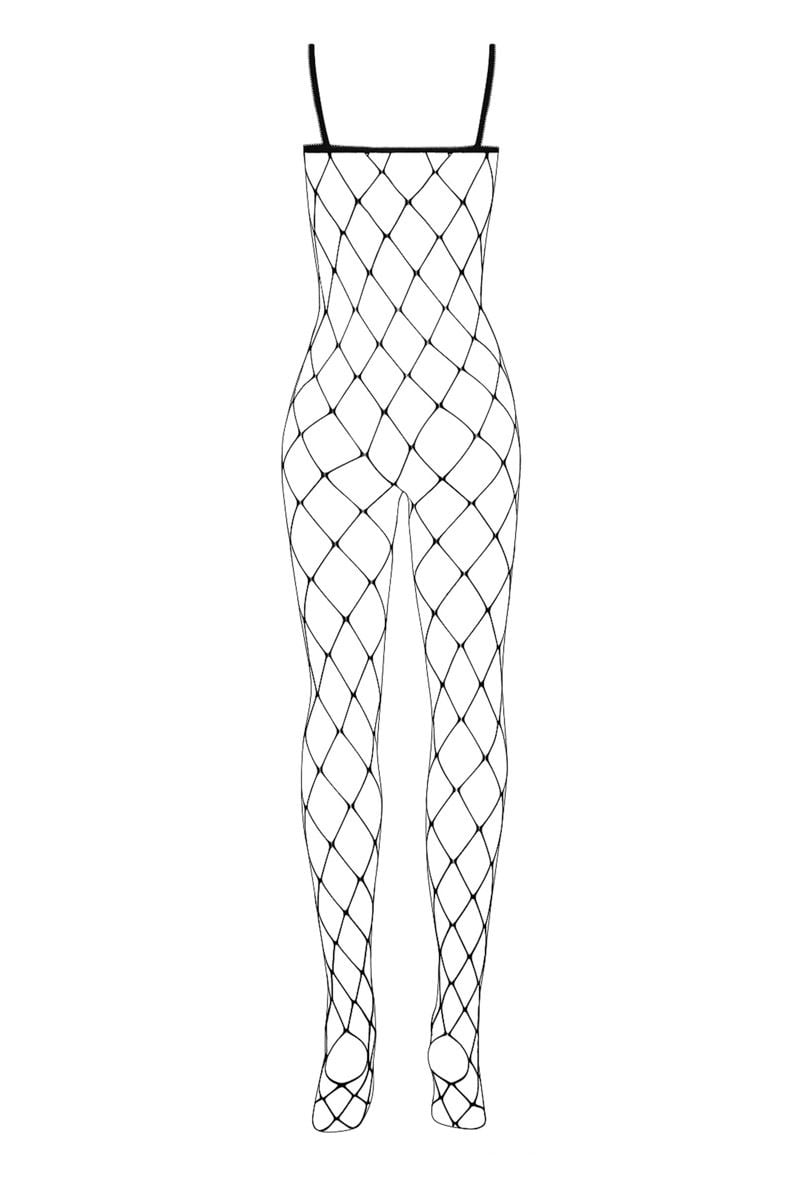 Sexy bodystockings N102